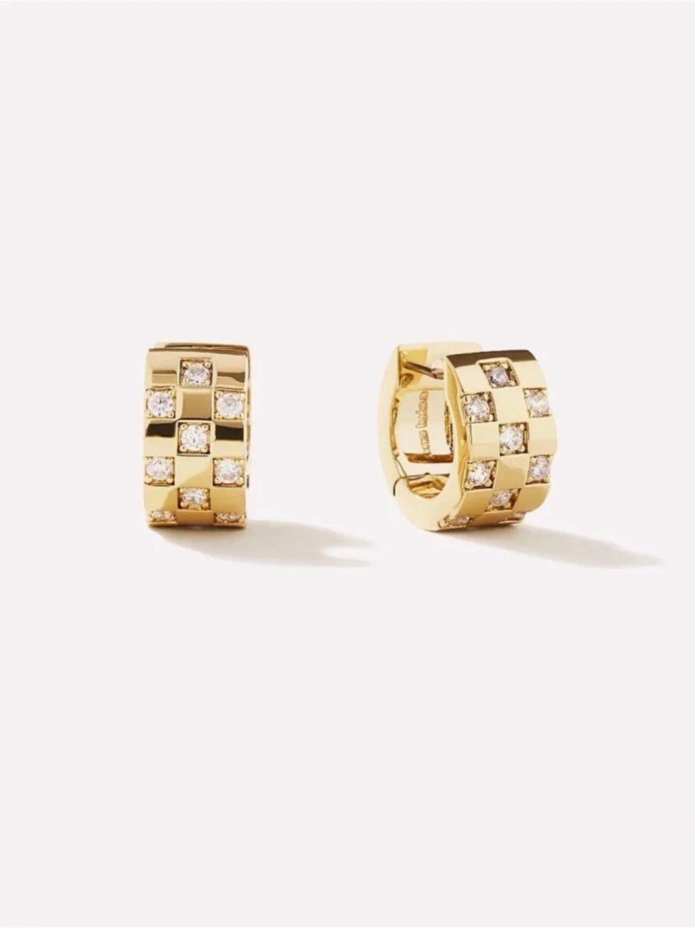 NWT Ana Luisa Eden Earring
